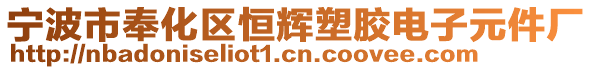 寧波市奉化區恒輝塑膠電子元件廠