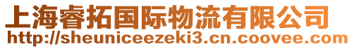 上海睿拓國(guó)際物流有限公司