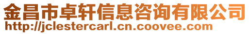 金昌市卓軒信息咨詢有限公司