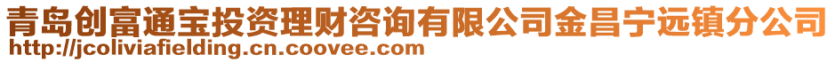 青島創(chuàng)富通寶投資理財(cái)咨詢有限公司金昌寧遠(yuǎn)鎮(zhèn)分公司