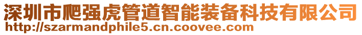 深圳市爬強虎管道智能裝備科技有限公司