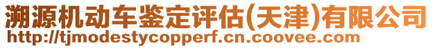 溯源機(jī)動車鑒定評估(天津)有限公司