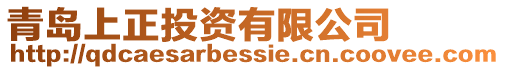 青島上正投資有限公司