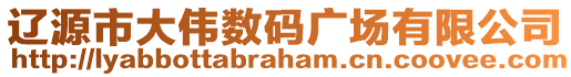 遼源市大偉數碼廣場有限公司