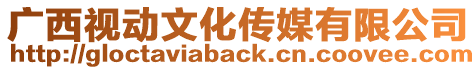 廣西視動文化傳媒有限公司