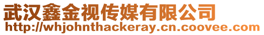 武漢鑫金視傳媒有限公司