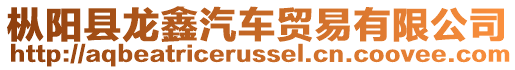 樅陽縣龍鑫汽車貿(mào)易有限公司