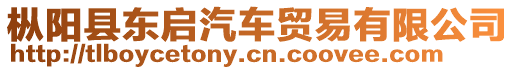 樅陽(yáng)縣東啟汽車貿(mào)易有限公司