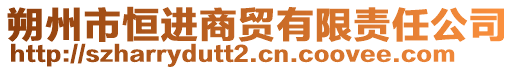 朔州市恒進(jìn)商貿(mào)有限責(zé)任公司