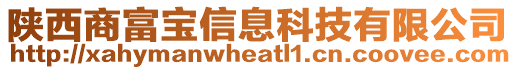 陜西商富寶信息科技有限公司