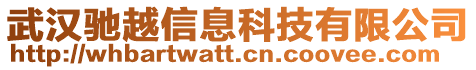 武漢馳越信息科技有限公司