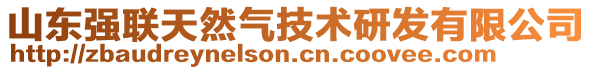 山東強聯(lián)天然氣技術(shù)研發(fā)有限公司