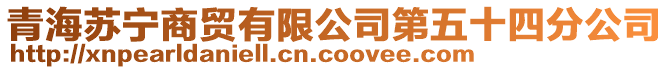 青海蘇寧商貿有限公司第五十四分公司
