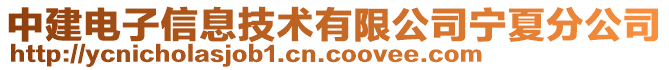 中建電子信息技術有限公司寧夏分公司
