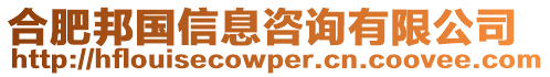 合肥邦國(guó)信息咨詢有限公司