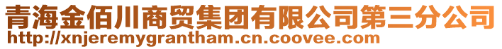 青海金佰川商貿(mào)集團(tuán)有限公司第三分公司