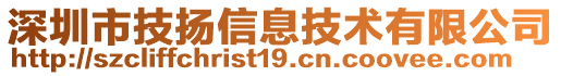 深圳市技揚信息技術有限公司