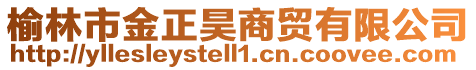 榆林市金正昊商貿有限公司