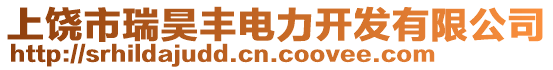 上饒市瑞昊豐電力開發有限公司