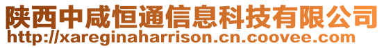 陜西中咸恒通信息科技有限公司