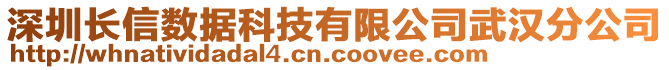 深圳長信數據科技有限公司武漢分公司