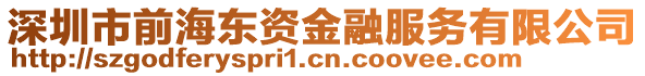 深圳市前海東資金融服務有限公司