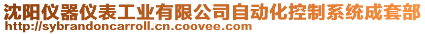 沈陽儀器儀表工業有限公司自動化控制系統成套部
