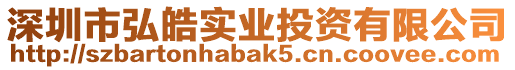 深圳市弘皓實業投資有限公司