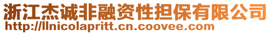 浙江杰誠非融資性擔保有限公司