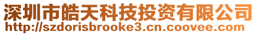 深圳市皓天科技投資有限公司