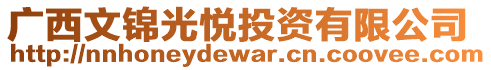 廣西文錦光悅投資有限公司