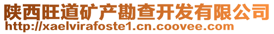 陜西旺道礦產(chǎn)勘查開發(fā)有限公司