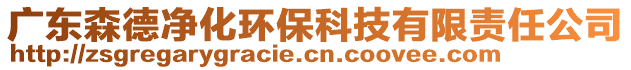 廣東森德凈化環(huán)保科技有限責(zé)任公司