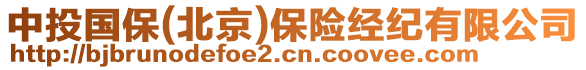 中投國保(北京)保險(xiǎn)經(jīng)紀(jì)有限公司