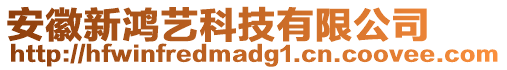 安徽新鴻藝科技有限公司