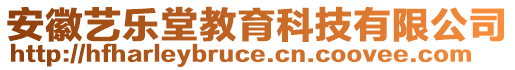 安徽藝樂堂教育科技有限公司