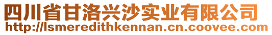 四川省甘洛興沙實業(yè)有限公司