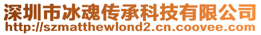 深圳市冰魂傳承科技有限公司