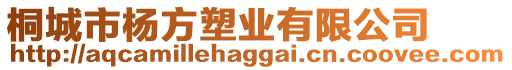 桐城市楊方塑業(yè)有限公司