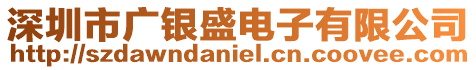 深圳市廣銀盛電子有限公司