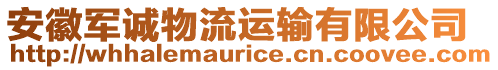 安徽軍誠(chéng)物流運(yùn)輸有限公司