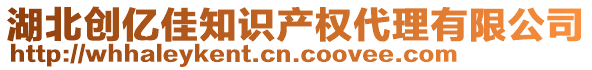 湖北創(chuàng)億佳知識產(chǎn)權(quán)代理有限公司