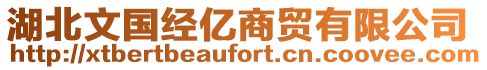 湖北文國(guó)經(jīng)億商貿(mào)有限公司