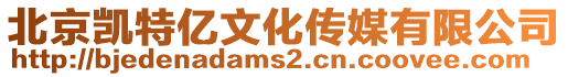 北京凱特億文化傳媒有限公司