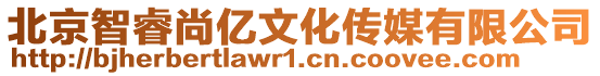 北京智睿尚億文化傳媒有限公司