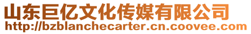 山東巨億文化傳媒有限公司