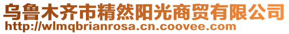 烏魯木齊市精然陽(yáng)光商貿(mào)有限公司