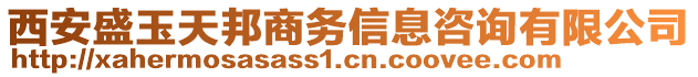 西安盛玉天邦商務(wù)信息咨詢有限公司