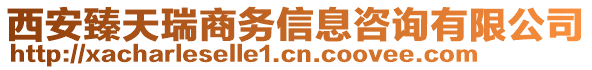 西安臻天瑞商務(wù)信息咨詢有限公司