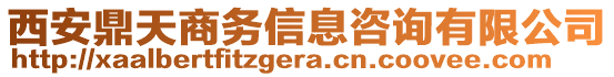 西安鼎天商務(wù)信息咨詢有限公司